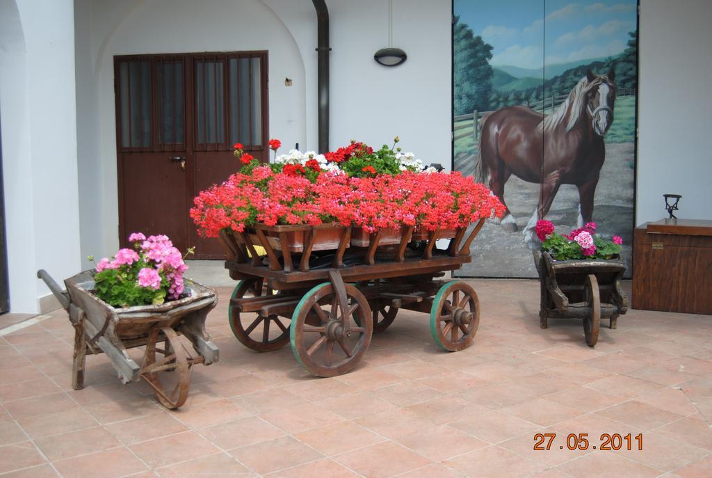 La Pioppa Agriturismo Sacile Extérieur photo